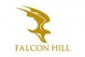 Falcon Hill Development Limited