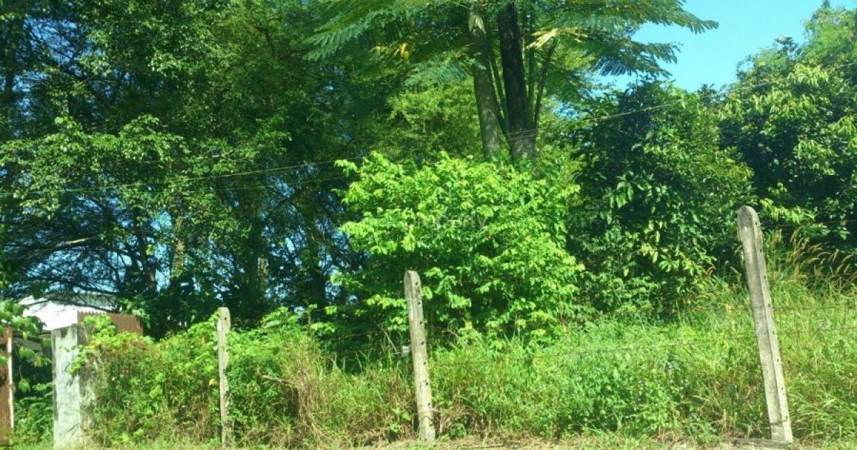 Agricultural Land With Industrial Potential at Sungai Choh 